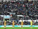 Cambridge United defeated Newcastle United on Saturday (Photo by PAUL ELLIS/AFP via Getty Images)