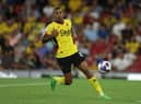 Joao Pedro missed Watford's game with Preston at the weekend amid Newcastle United speculation (Photo by Richard Heathcote/Getty Images)