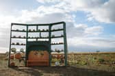 There is plenty to do this October half term - including pumpkin picking.  