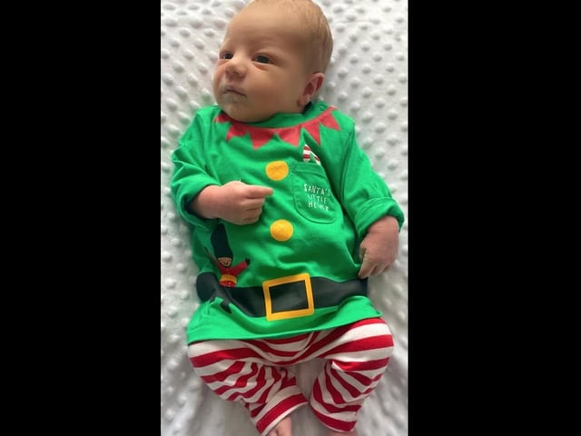 Four-week-old Ronnie. Picture: Sophie Gladdis