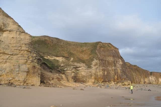 The cliff face at Marsden Bay