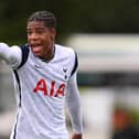 Newcastle United have confirmed the addition of Tottenham Hotspur starlet Jordan Hackett (Photo by Justin Setterfield/Getty Images)