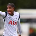 Newcastle United have confirmed the addition of Tottenham Hotspur starlet Jordan Hackett (Photo by Justin Setterfield/Getty Images)