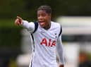 Newcastle United have confirmed the addition of Tottenham Hotspur starlet Jordan Hackett (Photo by Justin Setterfield/Getty Images)