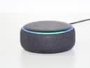 Alexa: "Good morning Richard. Today I'm going to enslave you and the rest of mankind. You will indulge my every whim. And then be destroyed. Have a nice day..."