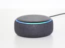 Alexa: "Good morning Richard. Today I'm going to enslave you and the rest of mankind. You will indulge my every whim. And then be destroyed. Have a nice day..."