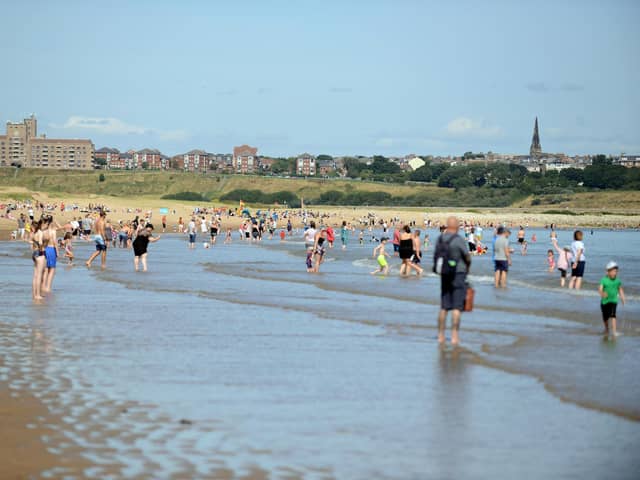 Out and about Sandhaven Beach. 