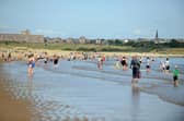 Out and about Sandhaven Beach. 