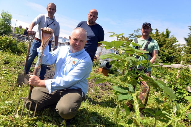 A new allotment got lots of attention in 2018 and here are Chris Convery, Philip Brooks, Keith Parkin, and Chris Tilbrook.
