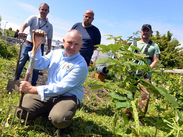 A new allotment got lots of attention in 2018 and here are Chris Convery, Philip Brooks, Keith Parkin, and Chris Tilbrook.