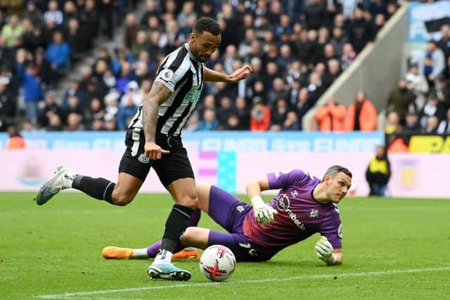 Callum Wilson of Newcastle United takes the ball around Alex McCarthy of Southampton and scores the team's third goal during the Premier League match between Newcastle United and Southampton FC at St. James Park on April 30, 2023 in Newcastle upon Tyne, England. (Photo by Stu Forster/Getty Images)