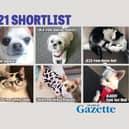 Our Top Pet shortlist has been revealed.
