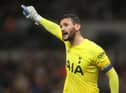 Hugo Lloris has been ruled-out of action for six to eight weeks (Photo by Julian Finney/Getty Images)