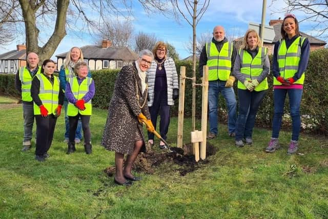 Tree planting at Monkton Dene park