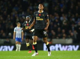 Isaac Hayden of Newcastle United celebrates after scoring their team's first goal during the Premier League match between Brighton & Hove Albion and Newcastle United at American Express Community Stadium on November 06, 2021 in Brighton, England. (Photo by Charlie Crowhurst/Getty Images)