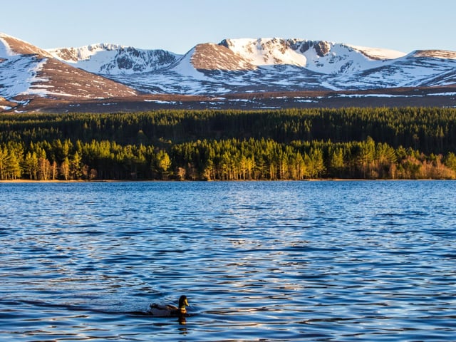 Glenmore Campsite can be found in the heart of the Cairngorms on the sandy beach of Loch Morlich. "It's a big, really well organised campsite," says Alex, "It's a really gorgeous place to go, under lovely trees. There's a cool bar where there's always somebody playing music in the evenings."