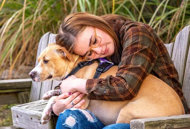 Don’t panic if your dog has a sseizure, but don’t go near your dog’s mouth - they may accidentally bite (photo: Adobe)