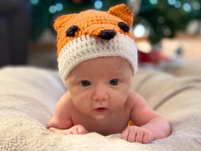 Seven-week-old Albie. Picture: Jen Fox