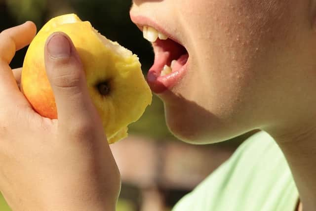 The free holiday clubs aim to keep children fed and entertained.