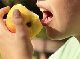 The free holiday clubs aim to keep children fed and entertained.