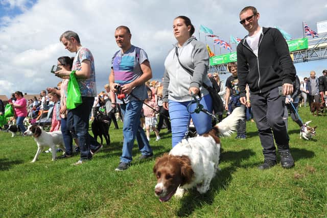 Great North Dog Walk competitors taking part on The Leas, South Shields.