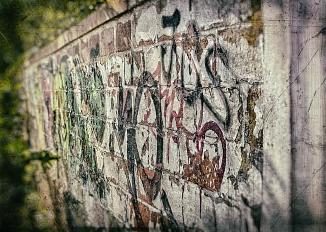 Graffiti was listed among problems facing the borough.