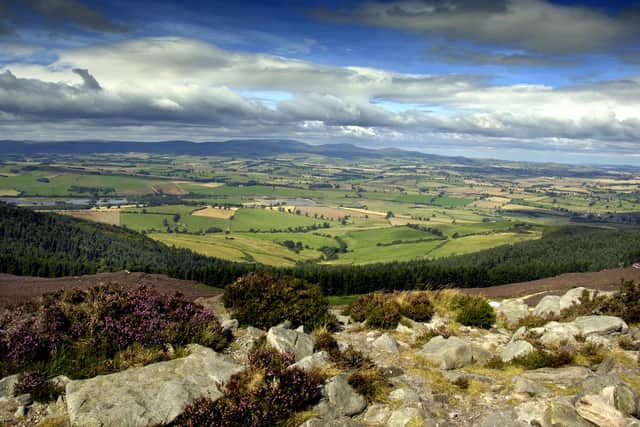 Cheviot view from Simonside
