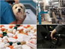 Vets, garages, pharmacies and petrol stations are among the services which remain open under Government guidelines.