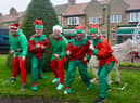 Staff at home care providers Bluebird Care in South Tyneside and Northumberland taking part in the Elf Run