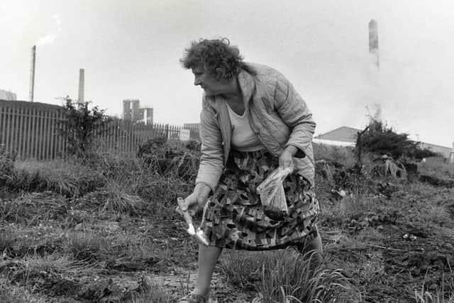 Jennie collecting soil samples for pollution testing