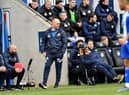Sunderland boss Alex Neil