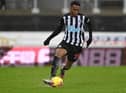 Joe Willock is on loan at Newcastle United from Premier League rivals Arsenal. (Photo by Stu Forster/Getty Images)