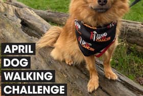 Join the pack: Dog owners are being urged to walk 60 miles with their four-legged friends over the course of April to raise money for Stand Up To Cancer’s life-saving research. Sign up now at su2c.org.uk/walkies
