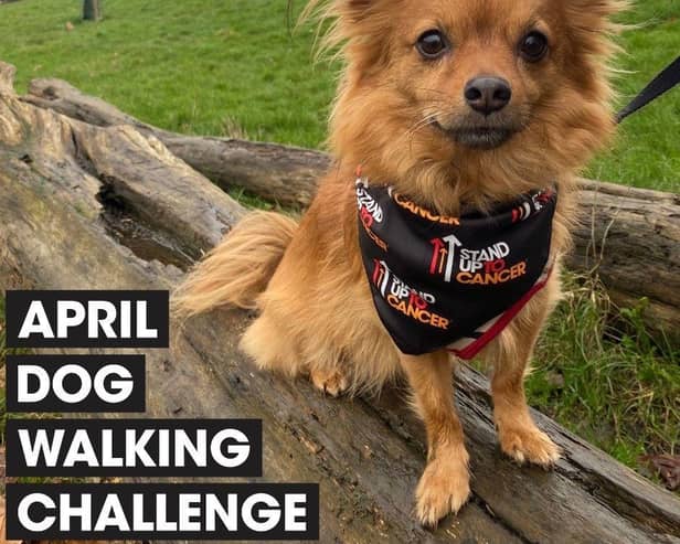 Join the pack: Dog owners are being urged to walk 60 miles with their four-legged friends over the course of April to raise money for Stand Up To Cancer’s life-saving research. Sign up now at su2c.org.uk/walkies