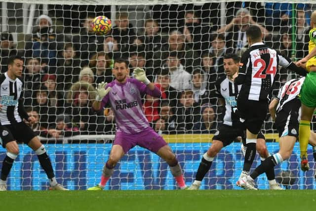 Norwich player Teemu Pukki shoots to score the First Norwich goal past Martin Dubravka during the Premier League match between Newcastle United  and  Norwich City at St. James Park on November 30, 2021 in Newcastle upon Tyne, England. (Photo by Stu Forster/Getty Images)