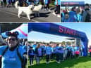 There was a big turnout for the Memory Walk.