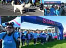 There was a big turnout for the Memory Walk.