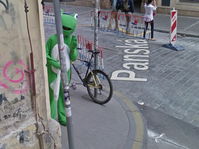 This cheeky little frog can be seen wandering the streets of Prague, striking cute poses for Google Maps.