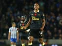 Isaac Hayden celebrates his goal.