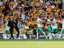 Allan Saint-Maximin's late stunner rescued a point for Newcastle United at Molineux. (Photo by David Rogers/Getty Images)
