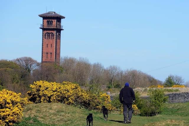 Cleadon Hills offers some great variety for a walk, and is included in the guide.