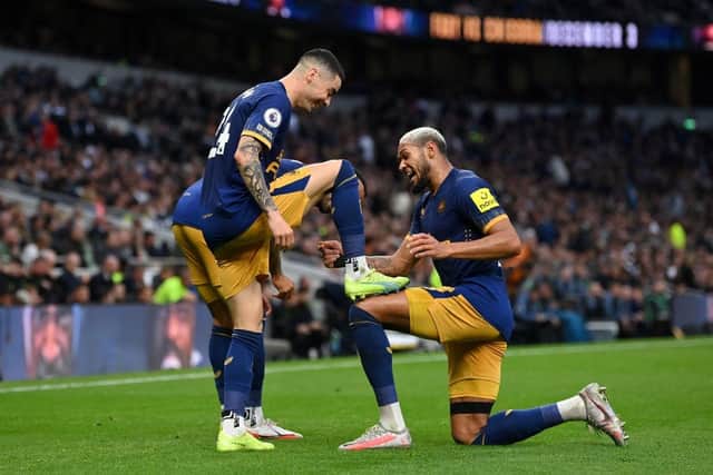 Miguel Almiron celebrates with Joelinton of Newcastle United after scoring their team's second goal during the Premier League match between Tottenham Hotspur and Newcastle United at Tottenham Hotspur Stadium on October 23, 2022 in London, England. (Photo by Justin Setterfield/Getty Images)