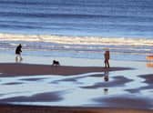 South Tyneside weather: Met Office forecast for this weekend as cold weather seems to be in the past