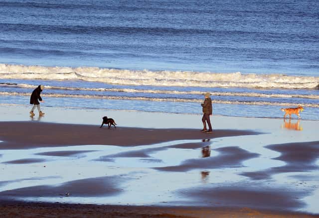 South Tyneside weather: Met Office forecast for this weekend as cold weather seems to be in the past