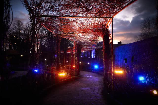 The lights trail around The Alnwick Garden.