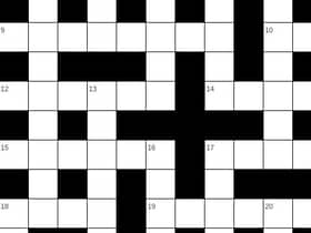 You can play puzzles on our website
