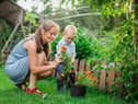 Experts at GardeningExpress.co.uk have selected their ten key tasks to complete in the garden this month.