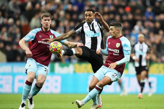 Callum Wilson of Newcastle United. (Photo by Ian MacNicol/Getty Images)