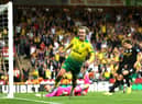 Todd Cantwell of Norwich City celebrates after scoring his team's second goal during the Premier League match between Norwich City and Manchester City at Carrow Road on September 14, 2019 in Norwich, United Kingdom. (Photo by Paul Harding/Getty Images)