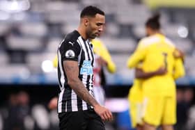Callum Wilson.